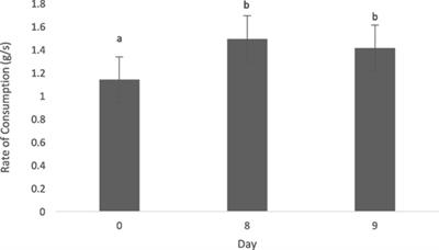 Canine Food Preference Assessment of Animal and Vegetable Ingredient-Based Diets Using Single-Pan Tests and Behavioral Observation